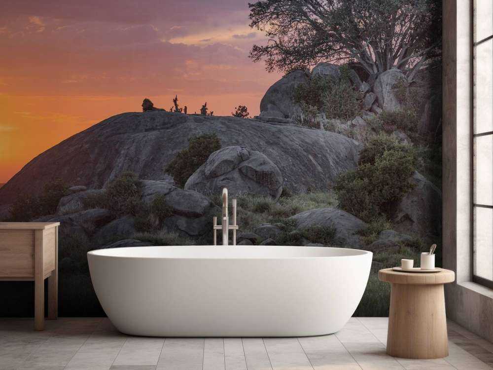 Solnedgang over savannen