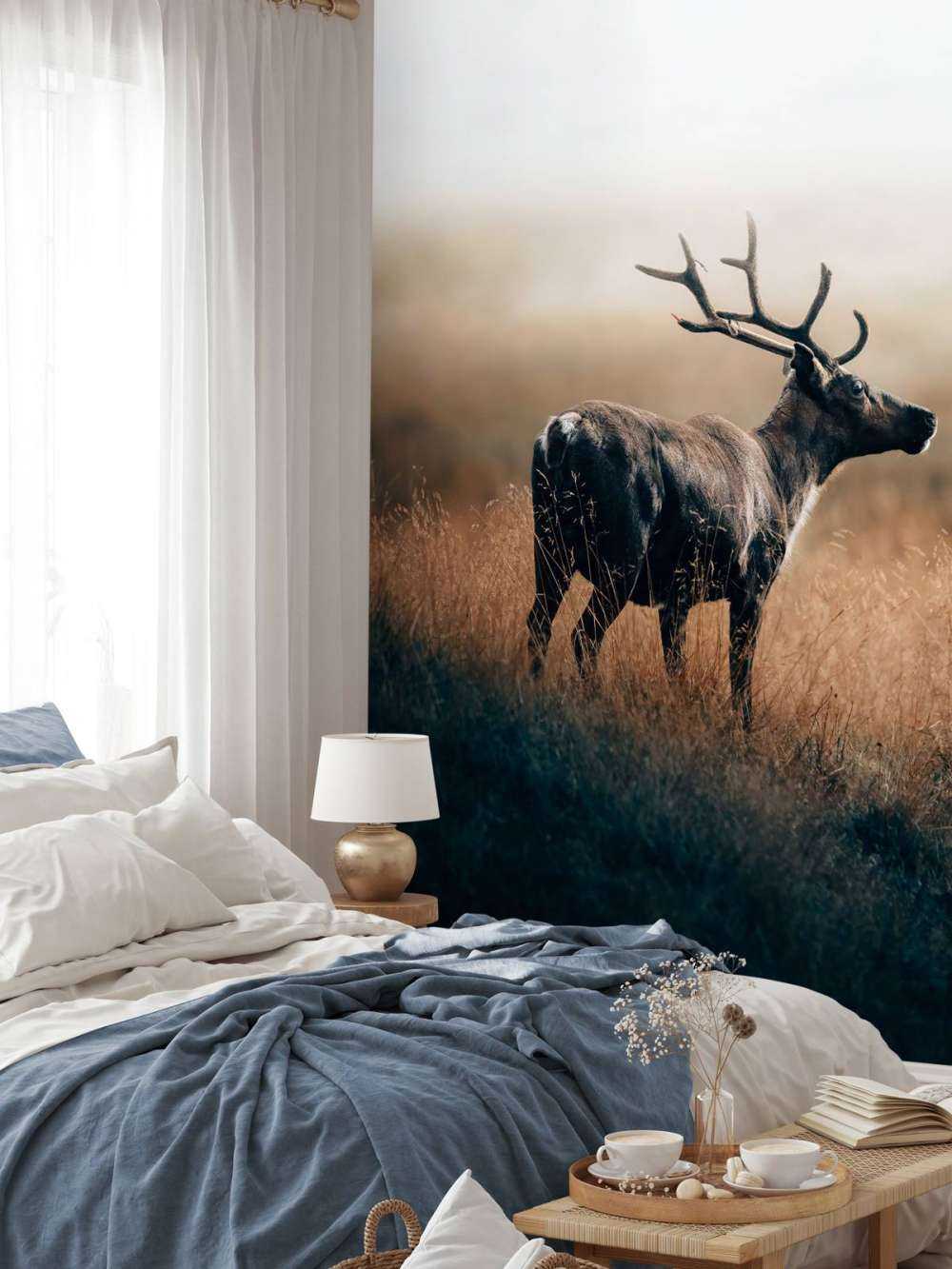 Rensdyr i det høje græs