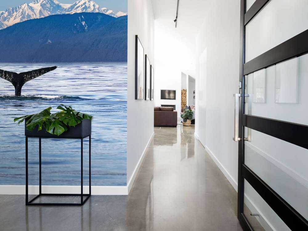 Dykkerhval med bjerge i tapeten