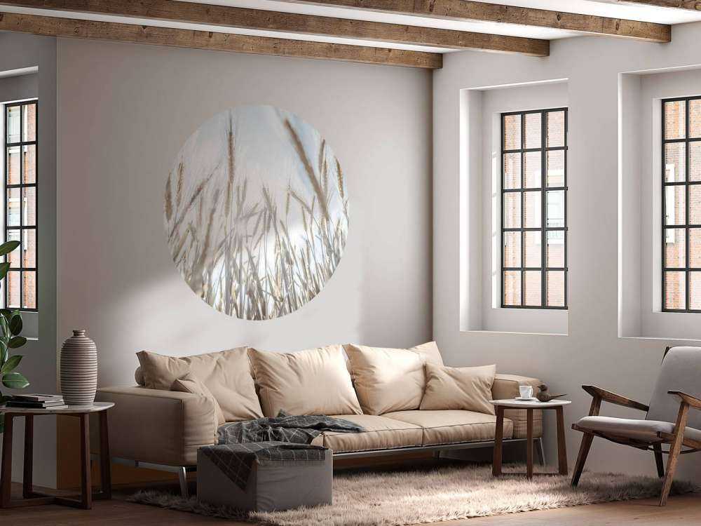 Solstråler gennem kornet