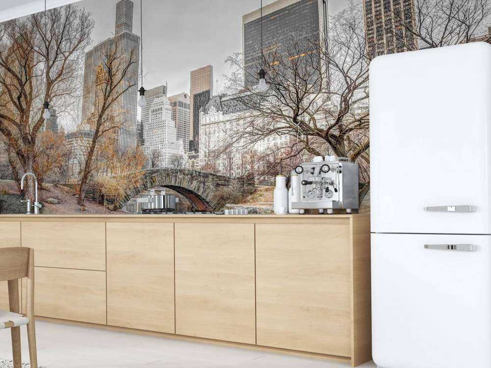 Central park om vinteren