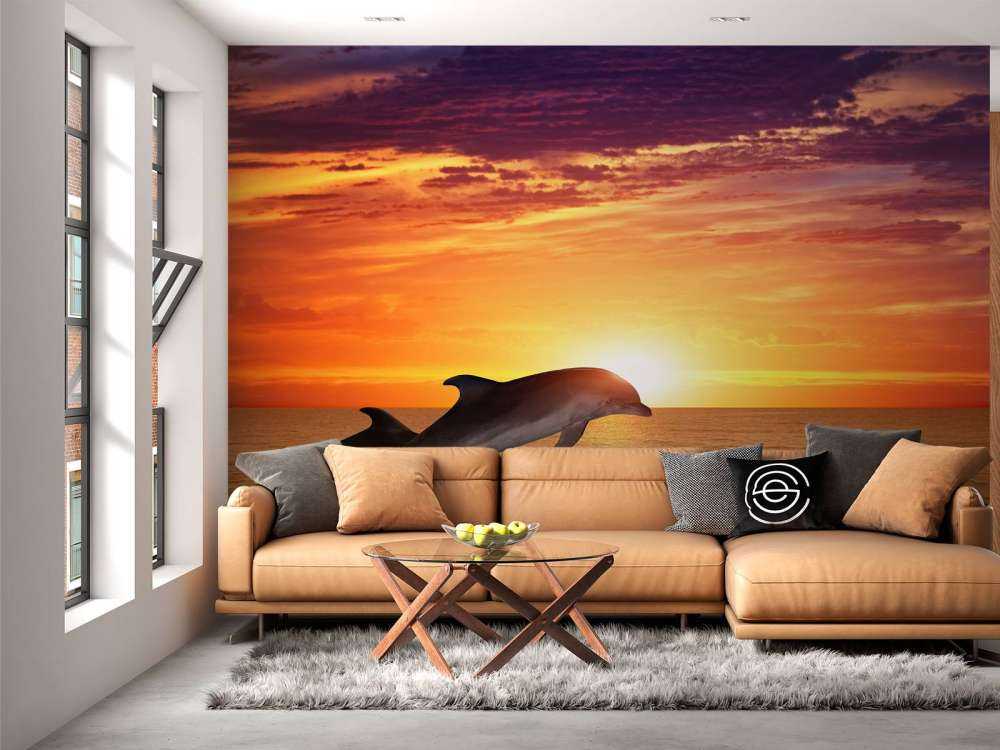 Delfiner i aftensolen