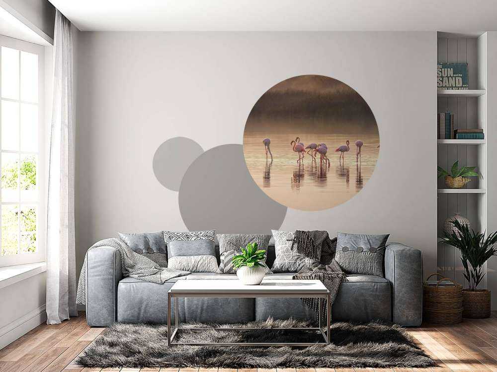 Fotografisk ode til Monet