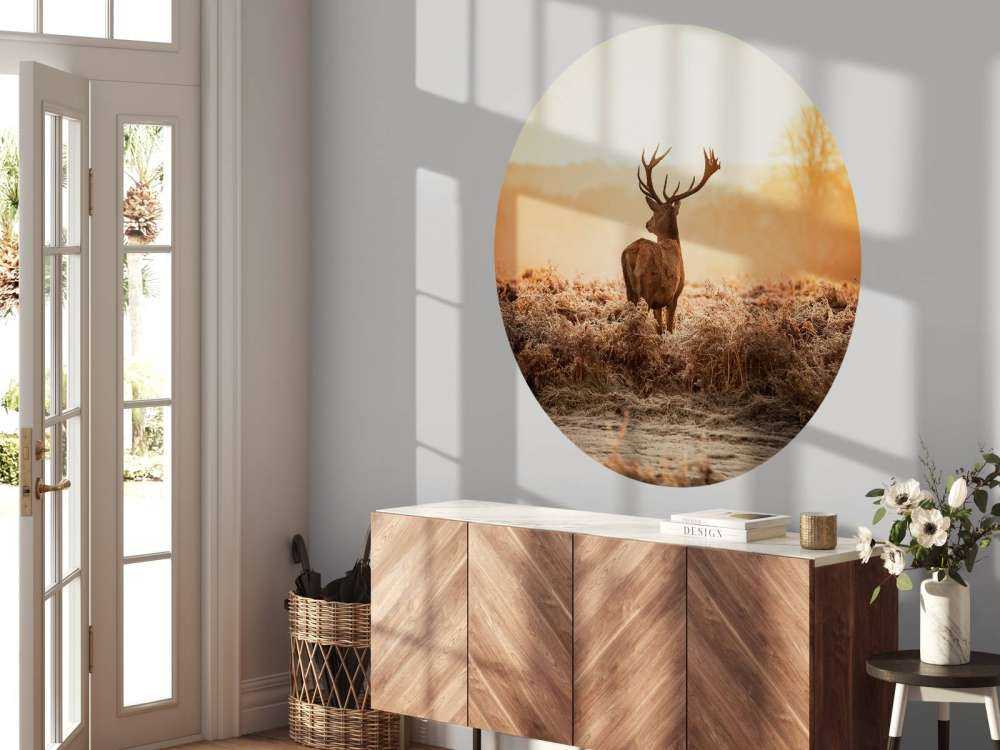 Hert bij zonsopkomst