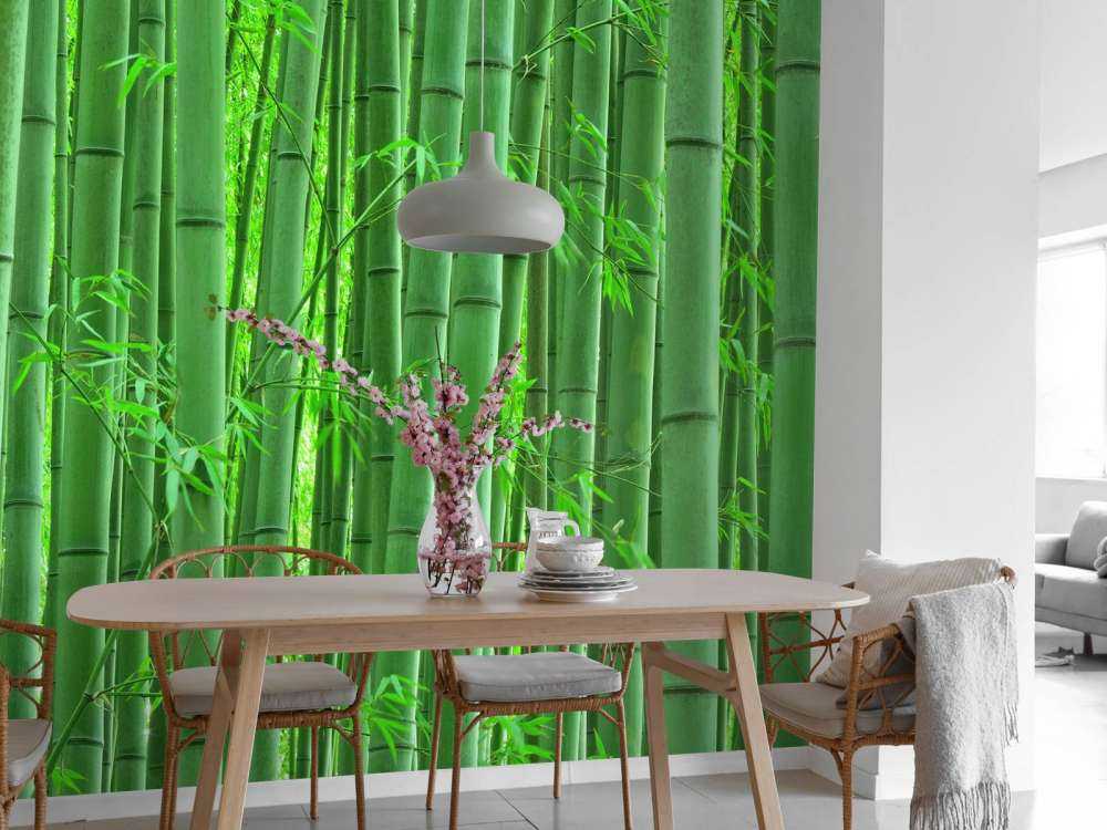 Nærbillede af bambusskov