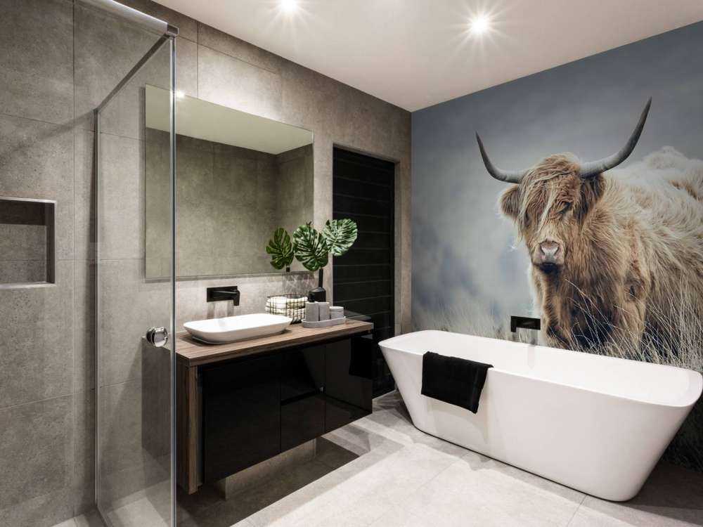 Scottish højlander i naturen