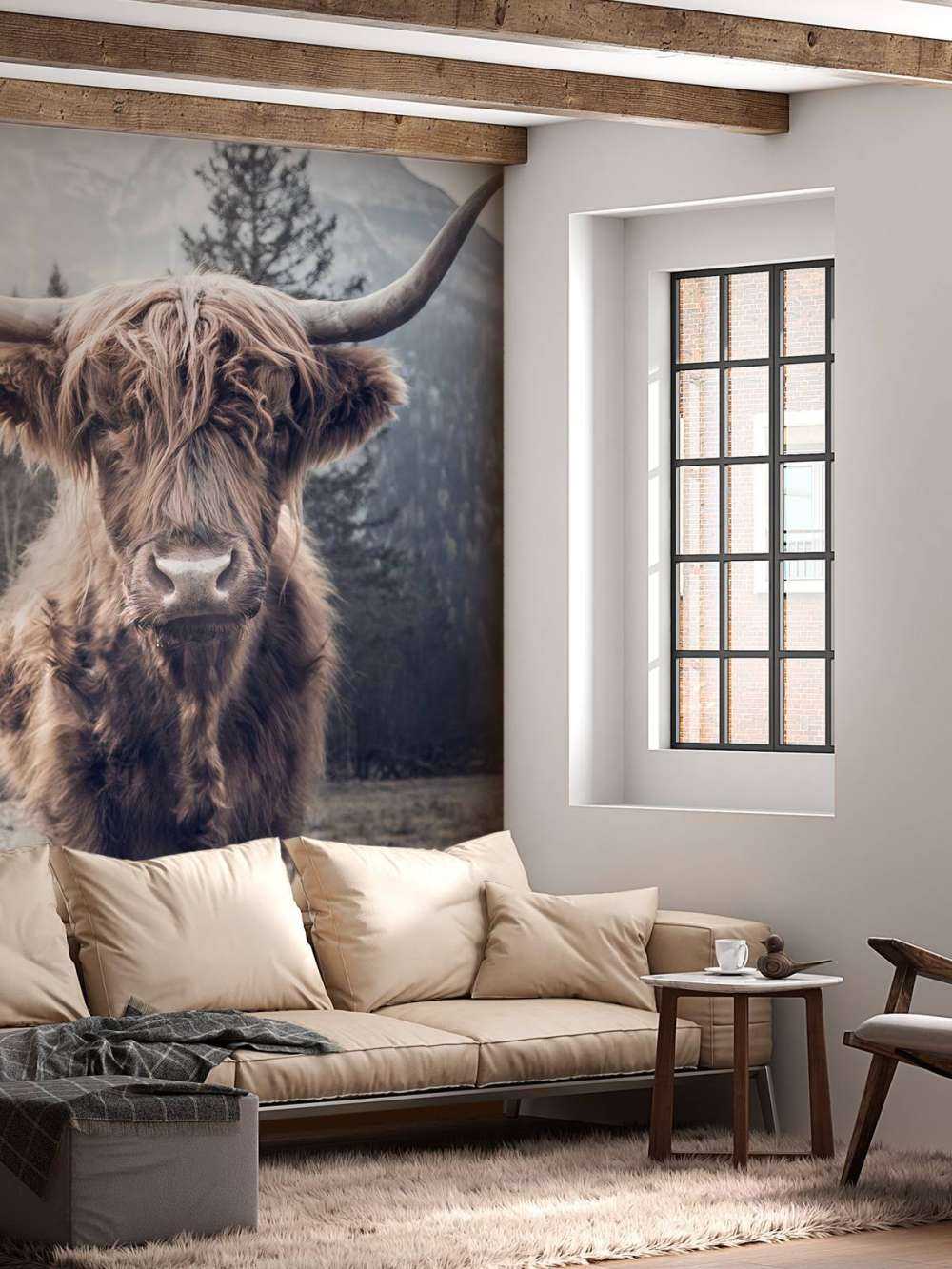 Scottish højlander ved skoven
