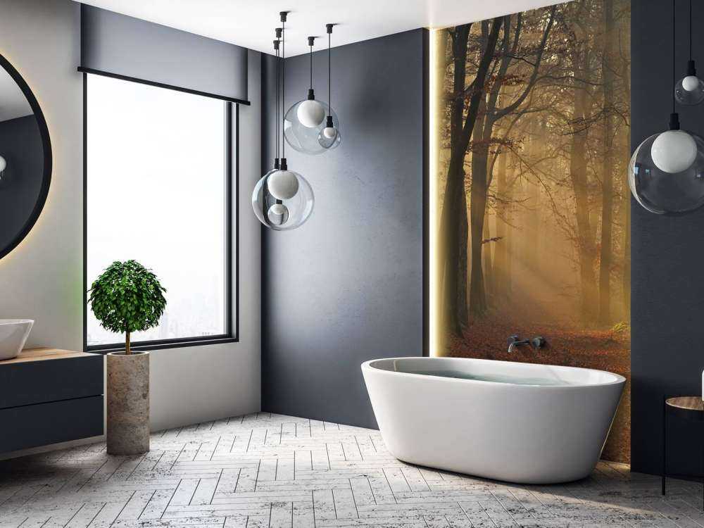 Mystisk efterårsskov