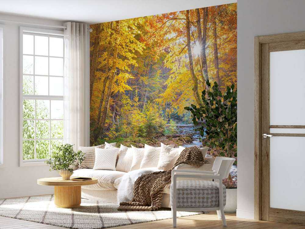 Efterår i en vild skov