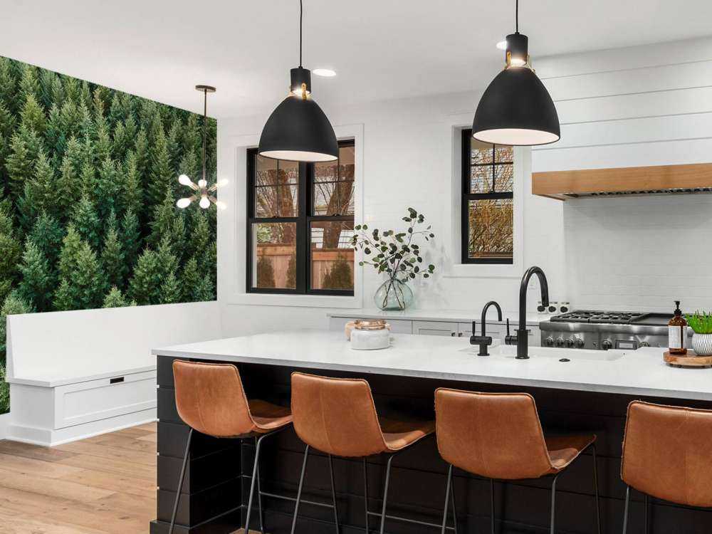 Douglasgran fra oven