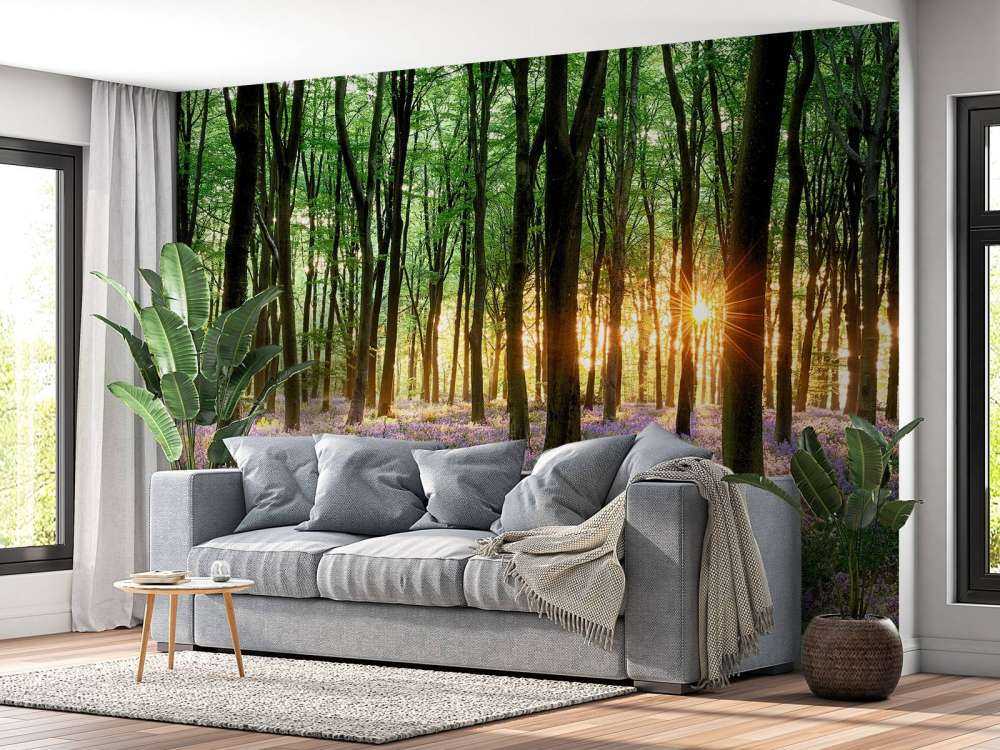 Skovsti ved solopgang