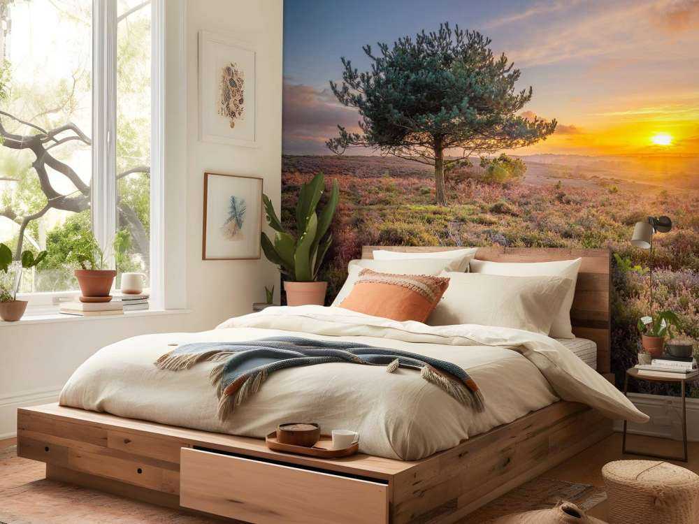 Solnedgang på heden