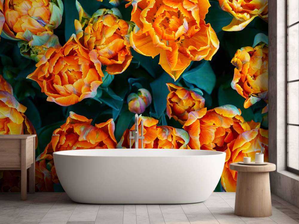 Nærbillede af orange tulipaner