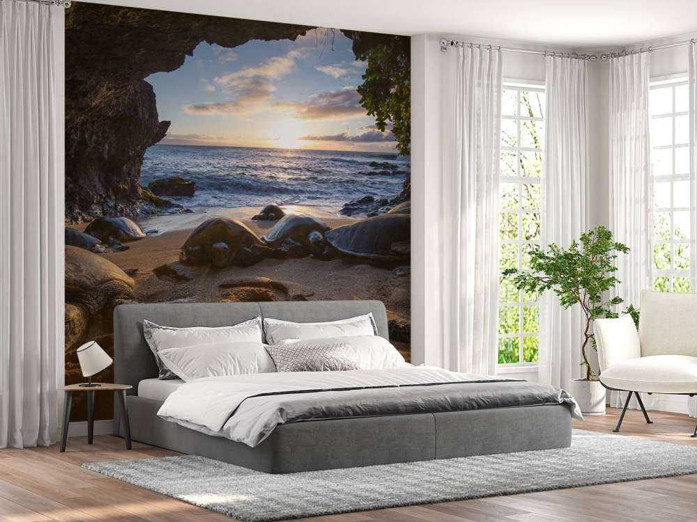 Skildpadder i en grotte