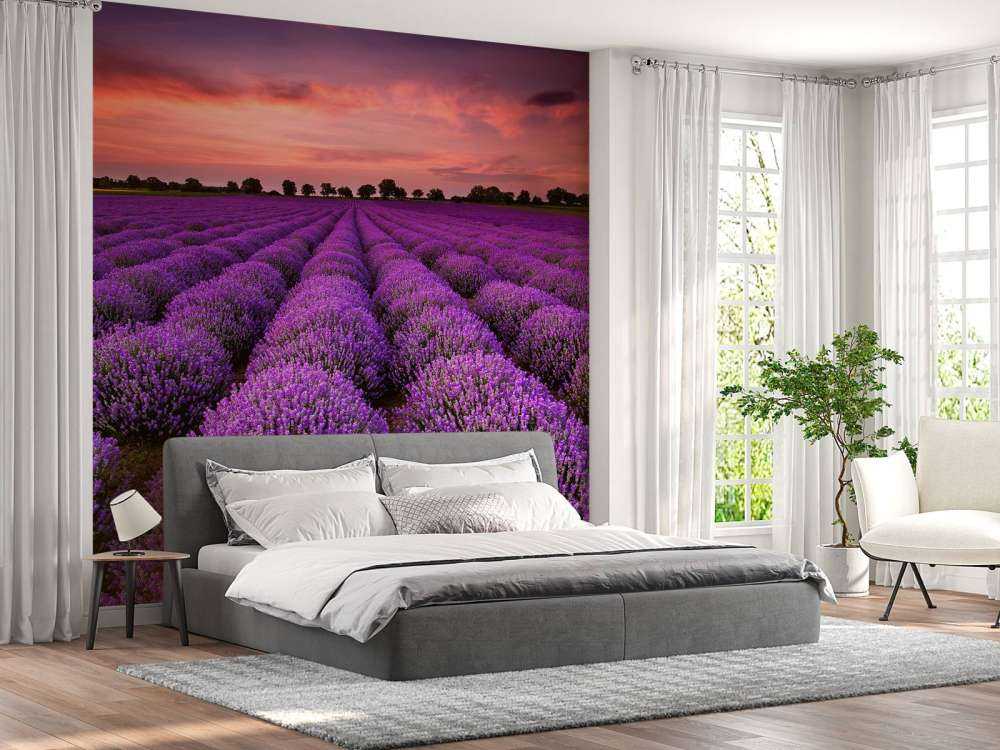 Lavendel felt