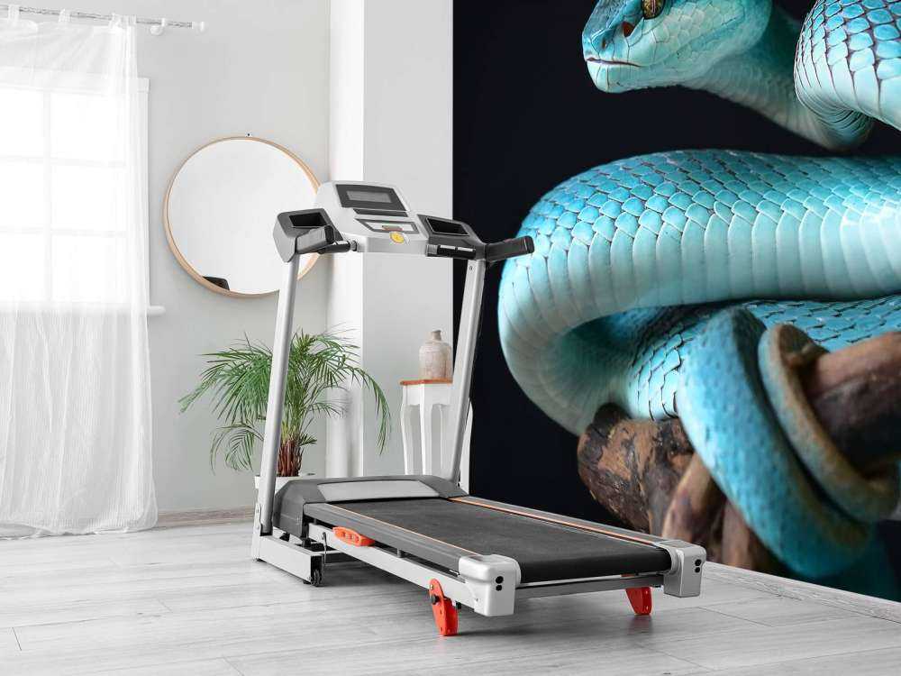 Blå öarorm