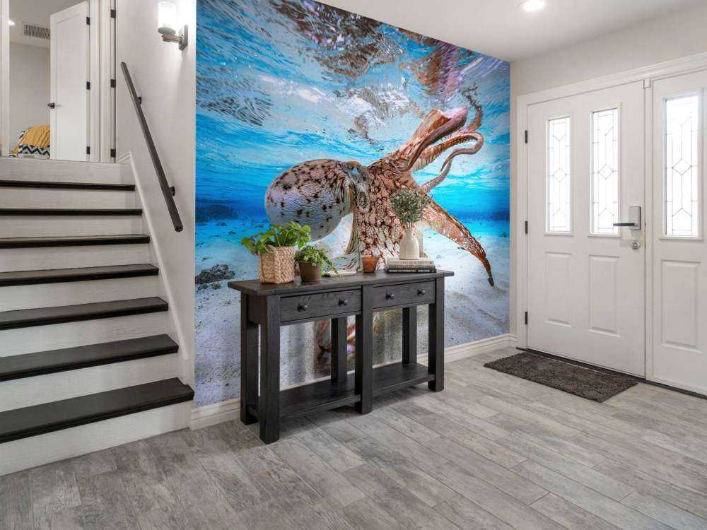 Dancing Octopus
