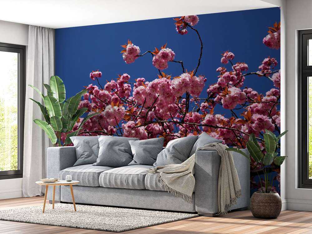 Rosa blomma med blå himmel