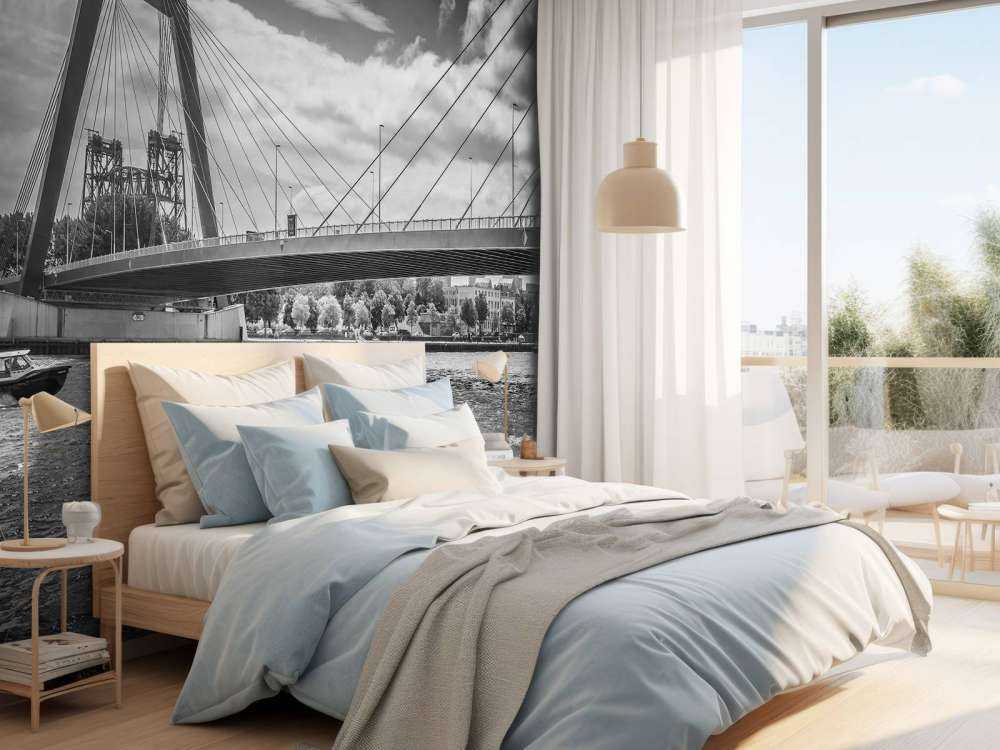 Passerar Prince Willem Alexander-bron i Rotterdam i svartvitt  