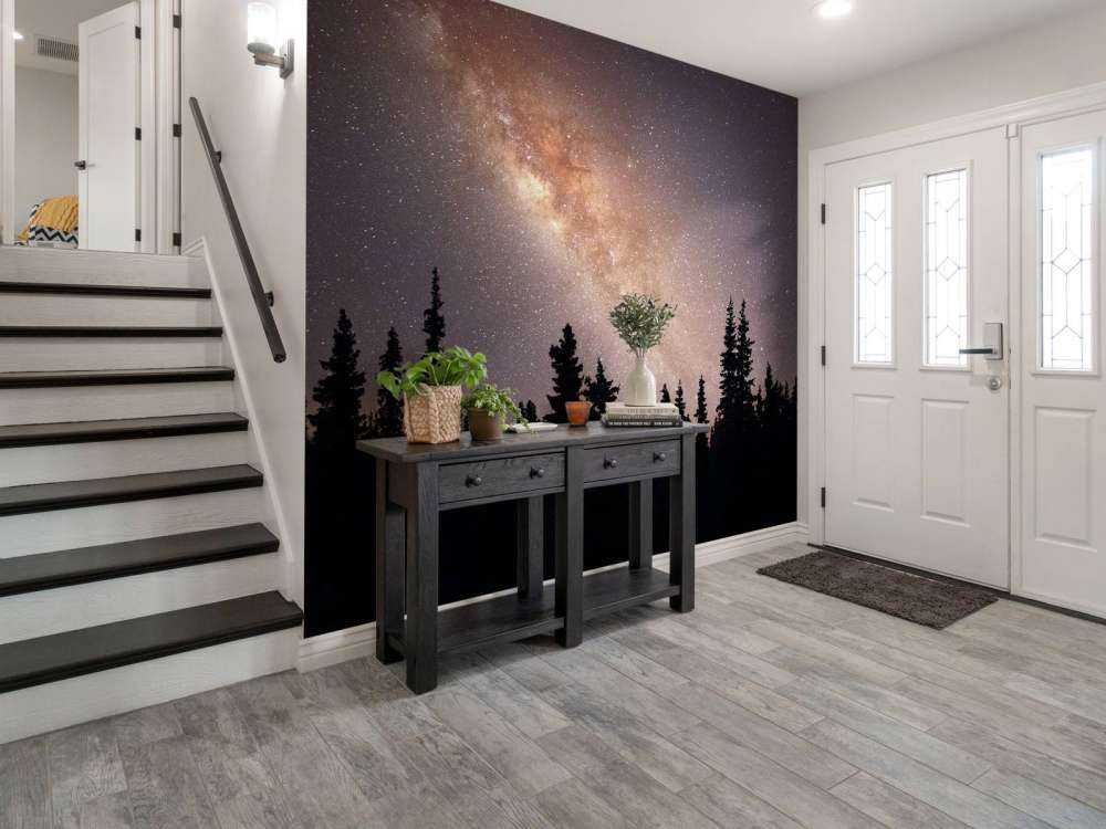 Vintergatan över siluett av träd