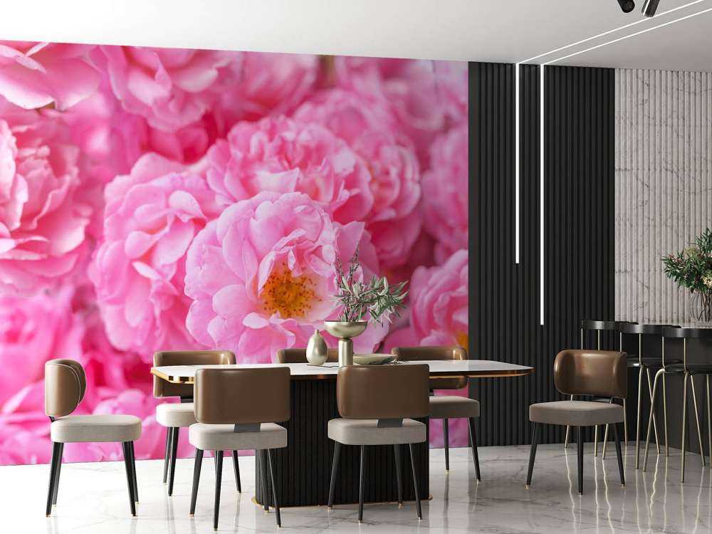 Flera rosa rosor