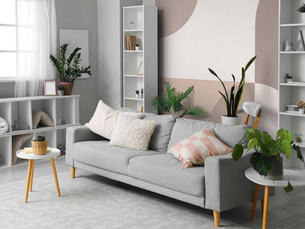 Soft Contours