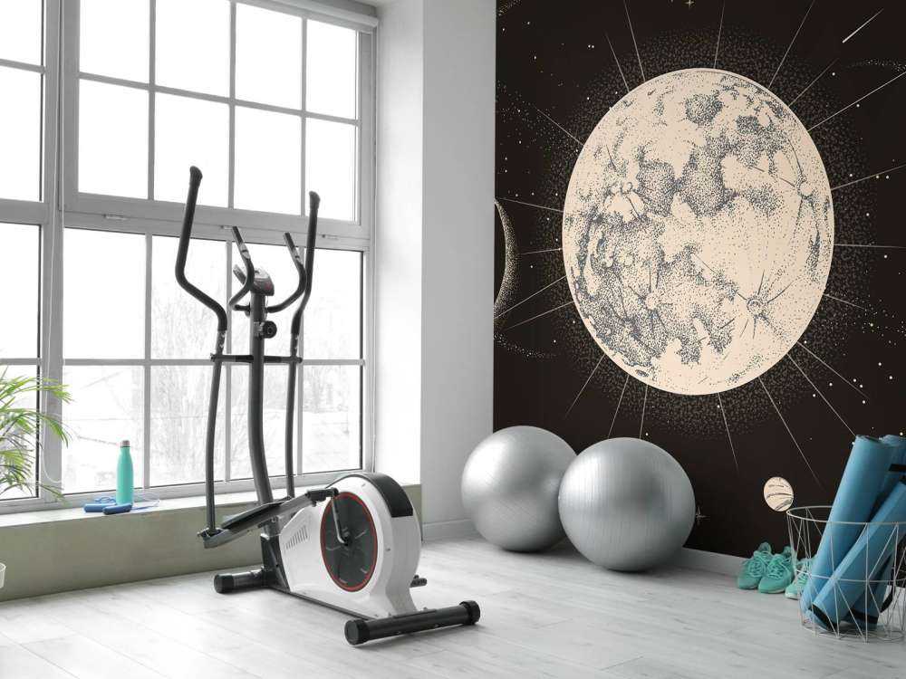 Universum