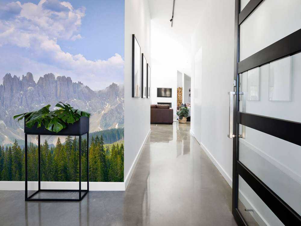 Berg med träd och moln