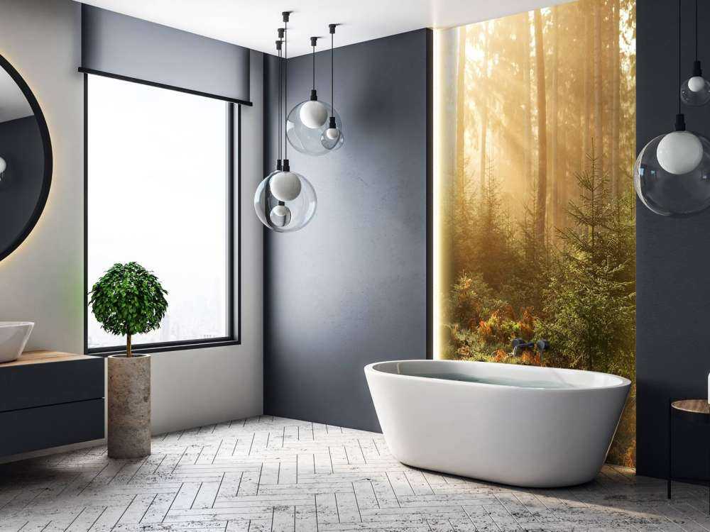 Solstrålar genom skogen