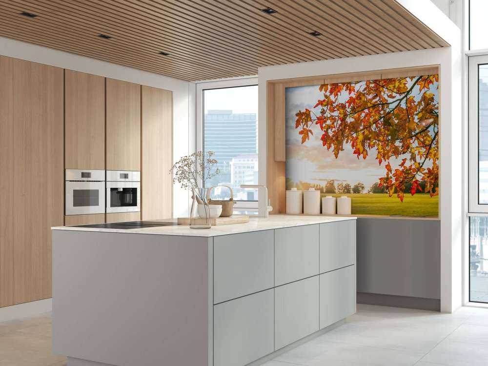 Höstträd i solnedgången