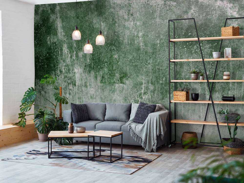 Gammal väderbiten grön vägg