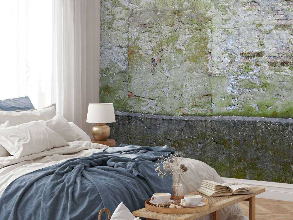 Mossa på gammal vägg