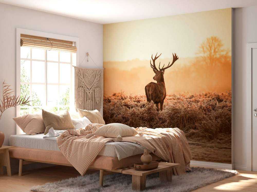 Rådjur i soluppgång