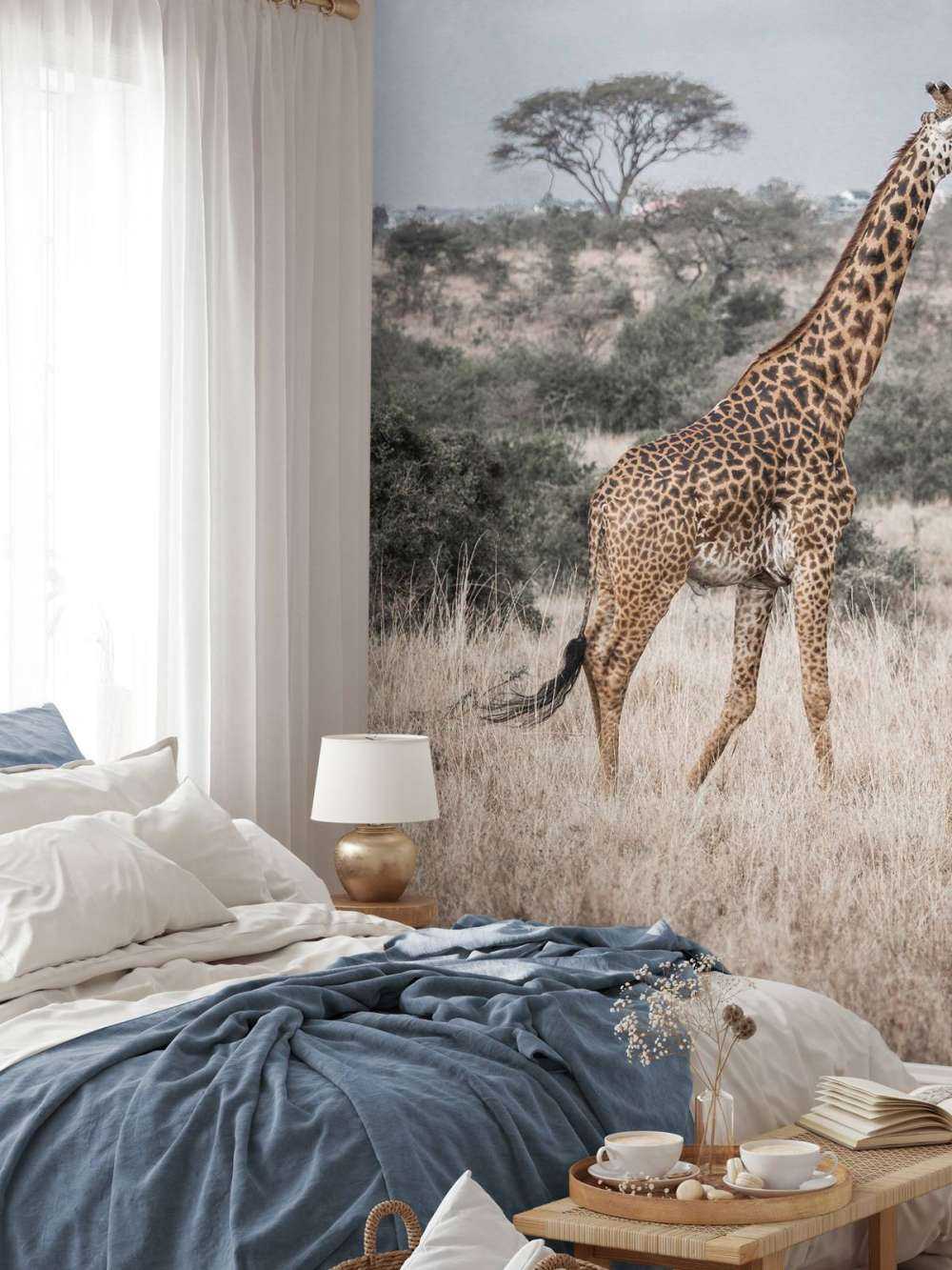 Giraff porträtt