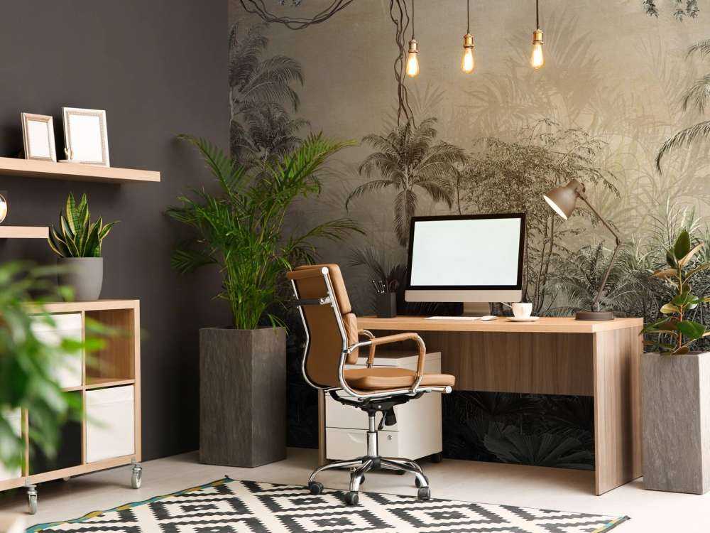 Tropisk skov i tåge