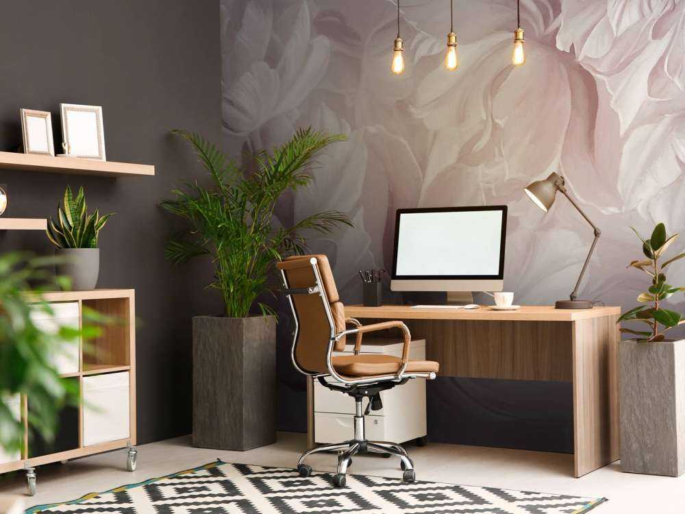 Store tulipaner bløde