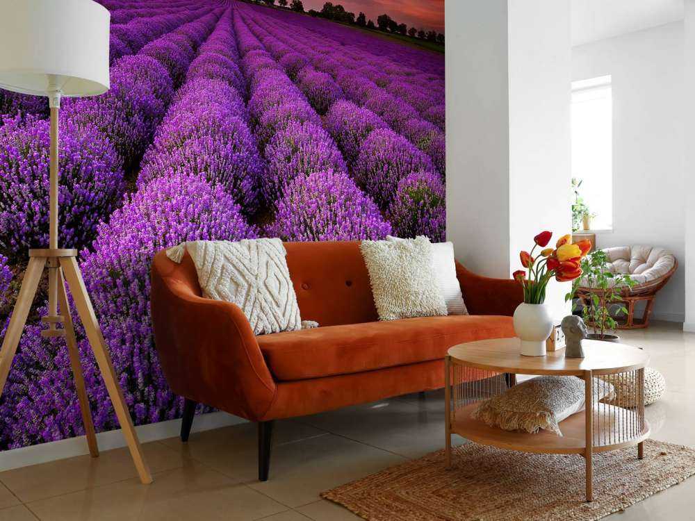 Lavendel felt
