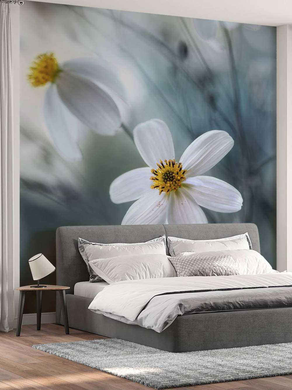 Cosmos