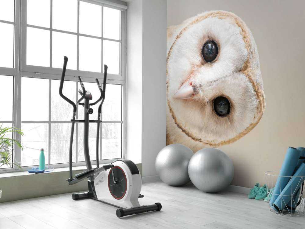 Ugle med hovedet på skrå