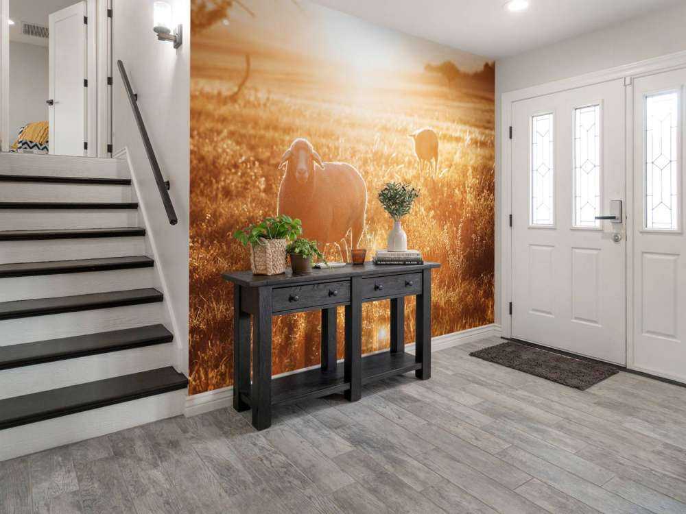 Får på smuk græsmark