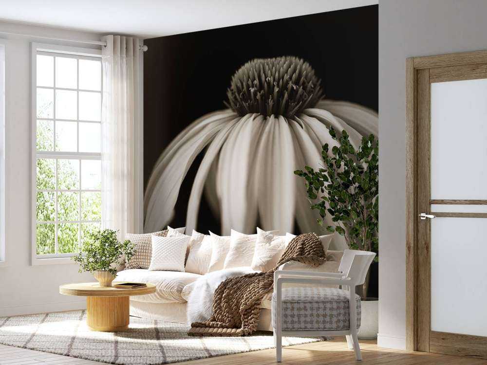 Nærbillede af kogleblomst