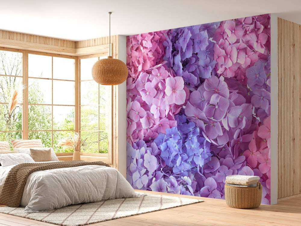 Farverige hortensiaer