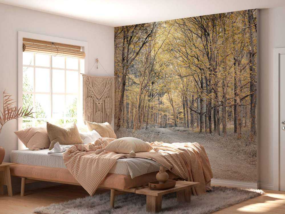 Skovvej i efteråret