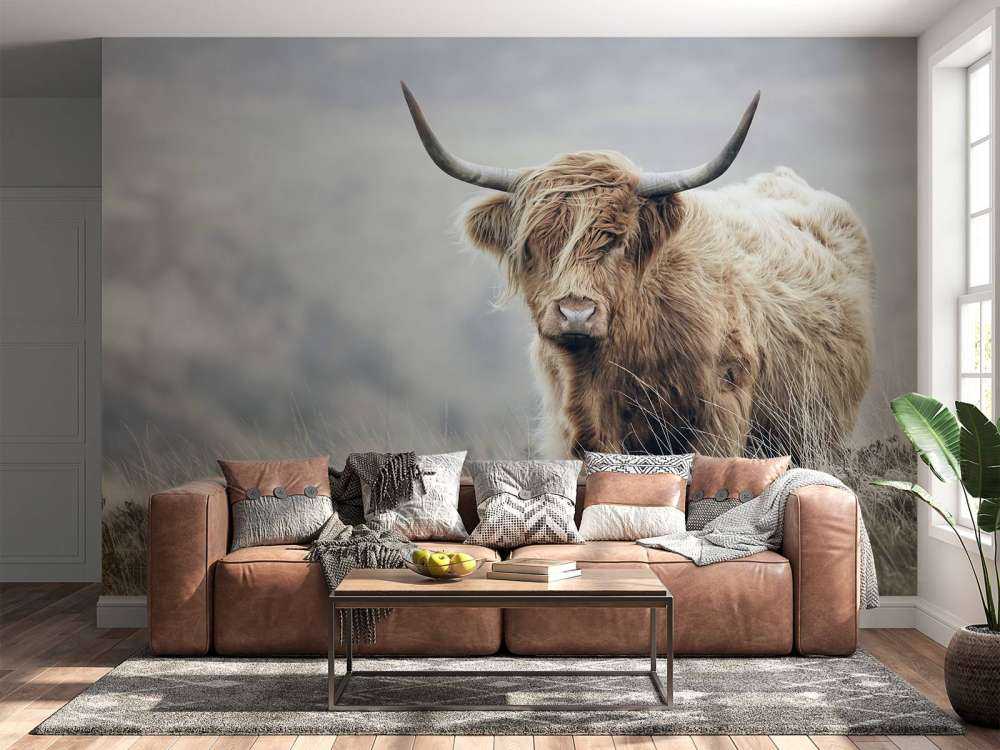 Scottish højlander i naturen