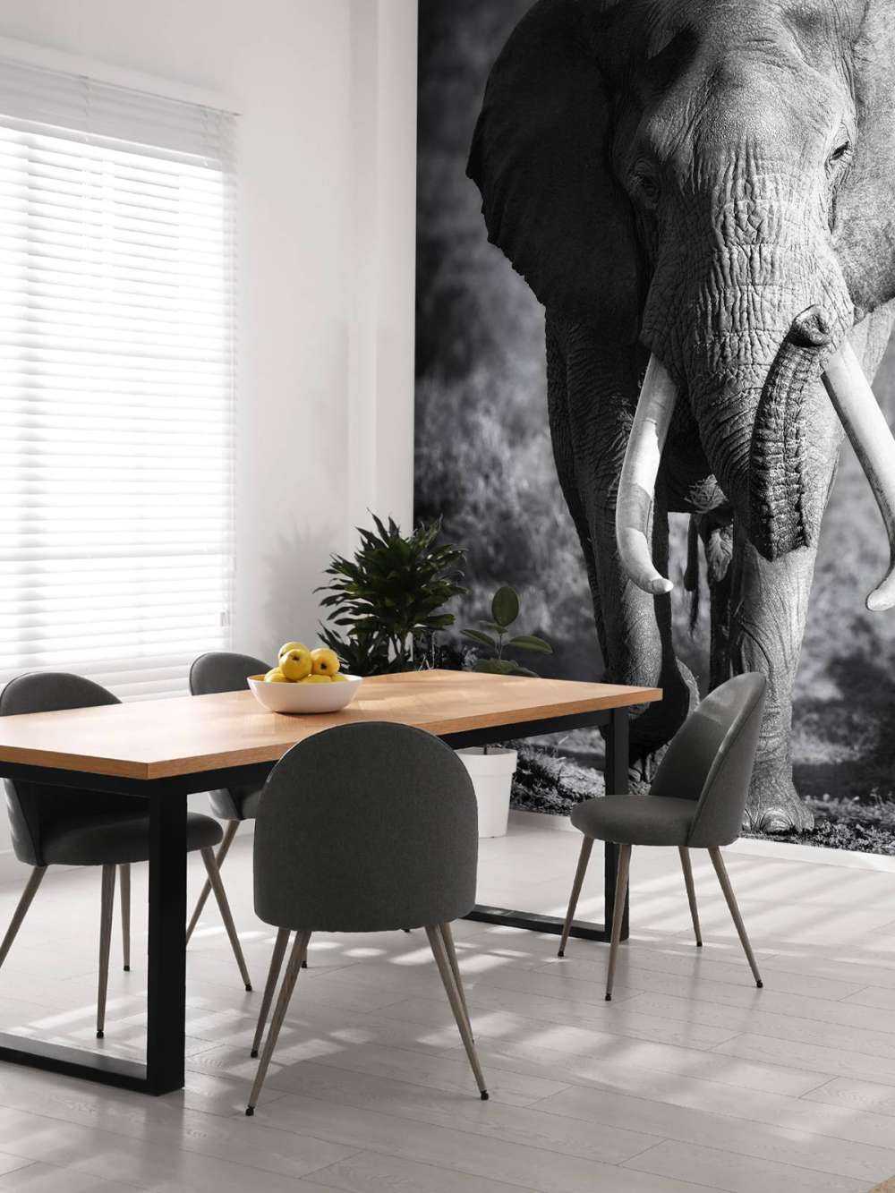 Afrikansk elefant