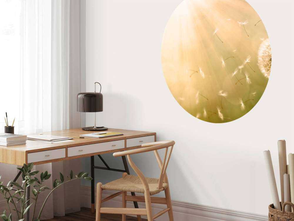 Mælkebøtte i vinden