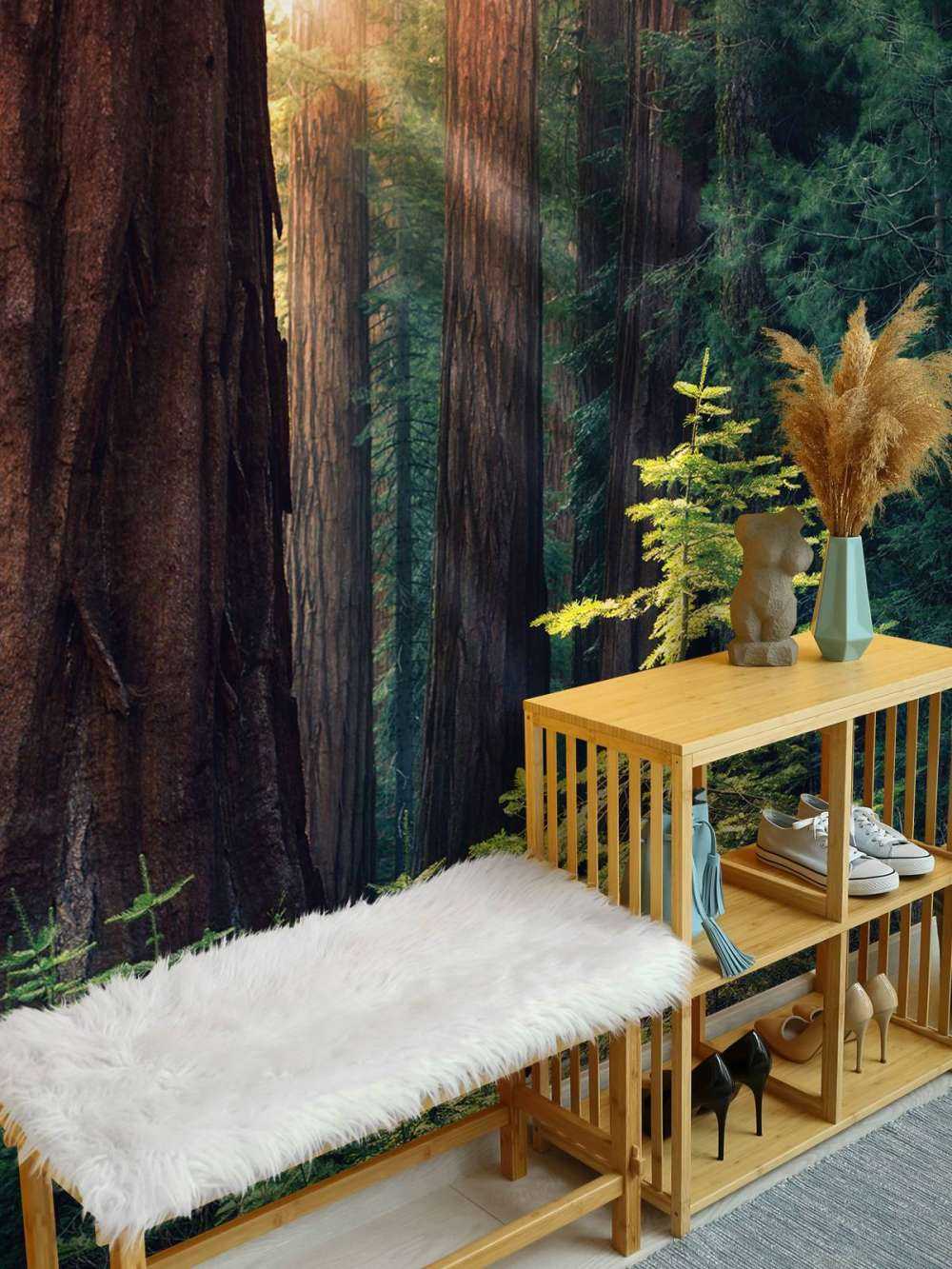 Sollys mellem mahogni-træerne