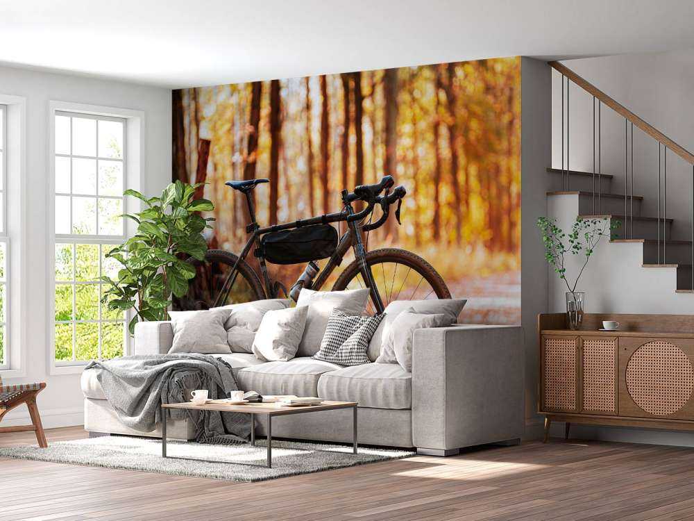 Cykel i efteråret