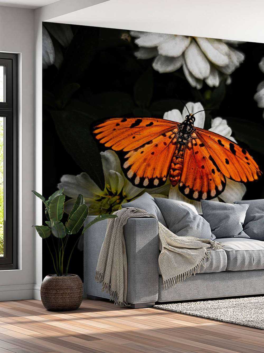 Monark-sommerfugl på en blomst