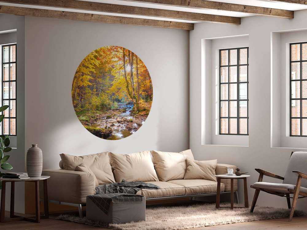 Efterår i en vild skov